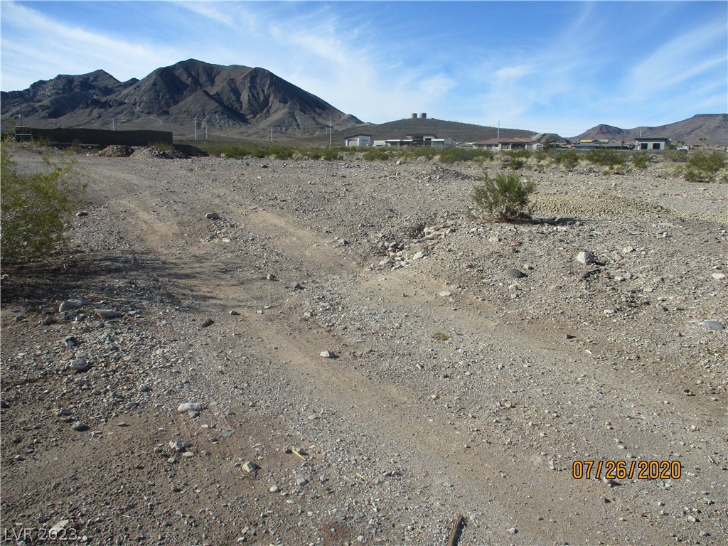 1133 Julie Road Henderson NV 89002