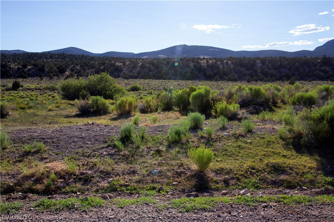 Duck Creek Development Ely NV 89301