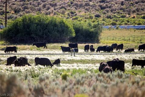 Duck Creek Development Ely NV 89301