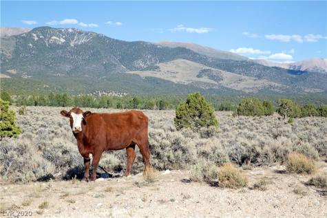 Duck Creek Development Ely NV 89301