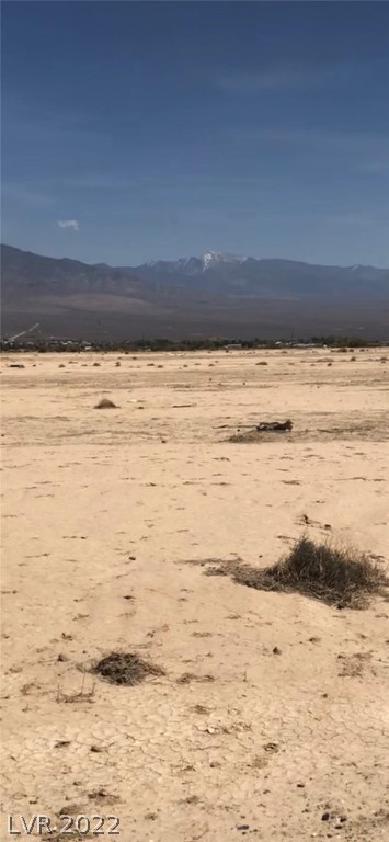 5871 Amadeo Place Pahrump NV 89060