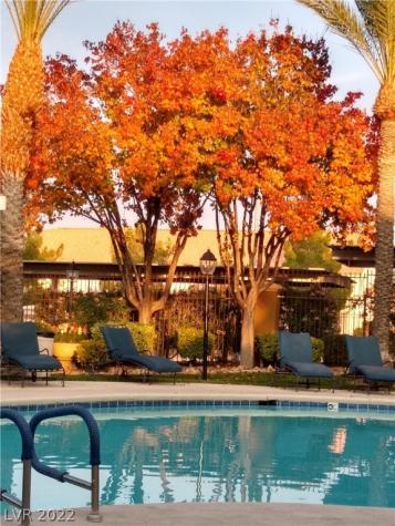 Henderson NV 89052