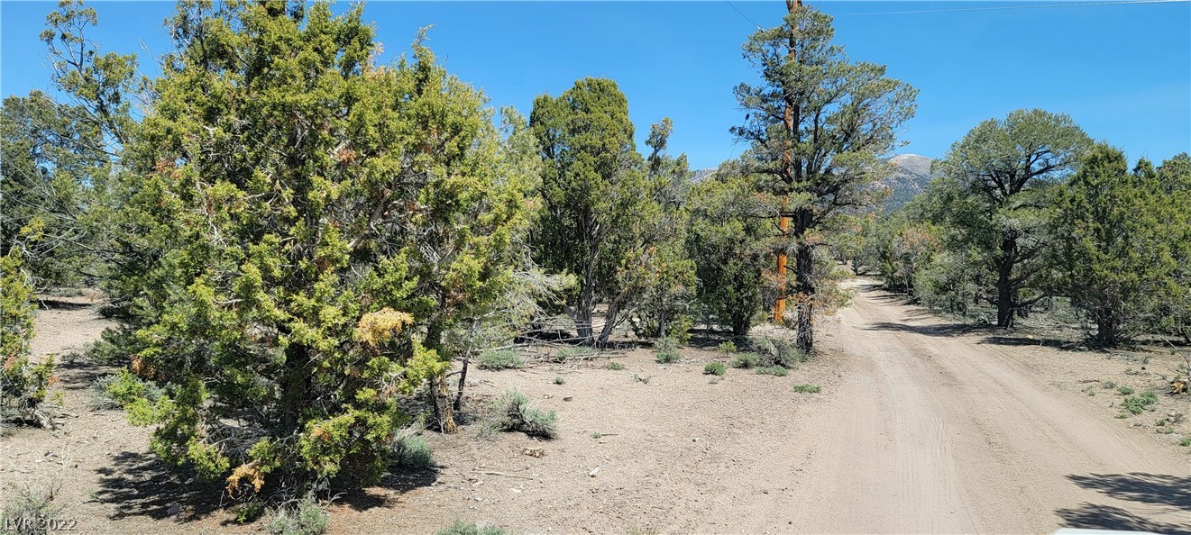 Lomprey Lane Pioche NV 89043