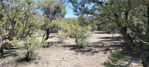 Lomprey Lane Pioche NV 89043