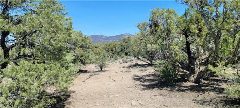 Lomprey Lane Pioche NV 89043