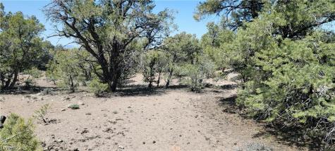 Lomprey Lane Pioche NV 89043