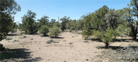 Lomprey Lane Pioche NV 89043
