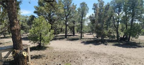 Lomprey Lane Pioche NV 89043