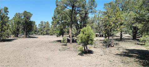 Lomprey Lane Pioche NV 89043