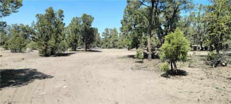 Lomprey Lane Pioche NV 89043