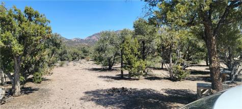 Lomprey Lane Pioche NV 89043