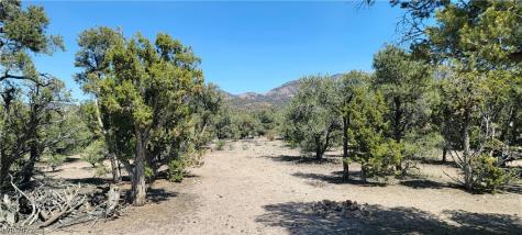 Lomprey Lane Pioche NV 89043