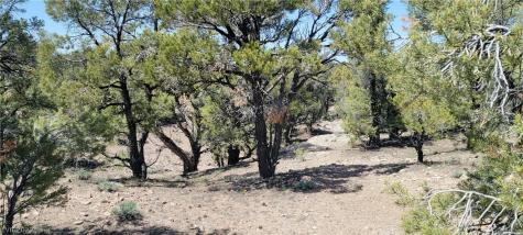 Lomprey Lane Pioche NV 89043