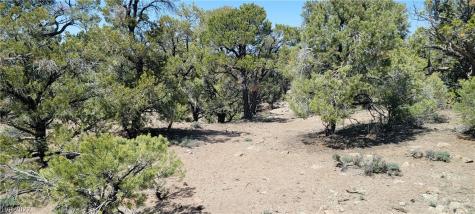 Lomprey Lane Pioche NV 89043