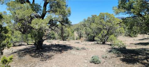 Lomprey Lane Pioche NV 89043